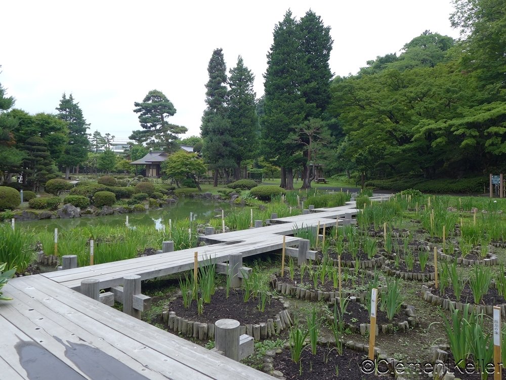 Jardin bas du Fujita Memorial Garden à Hirosaki