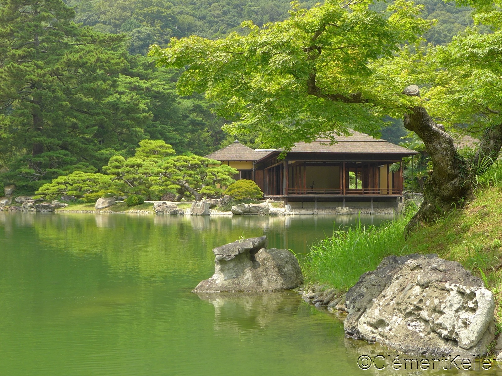 Etang au Ritsurin koen de Takamatsu