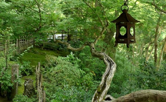 Vue dans le jardin de Garyu-sanso à Ozu