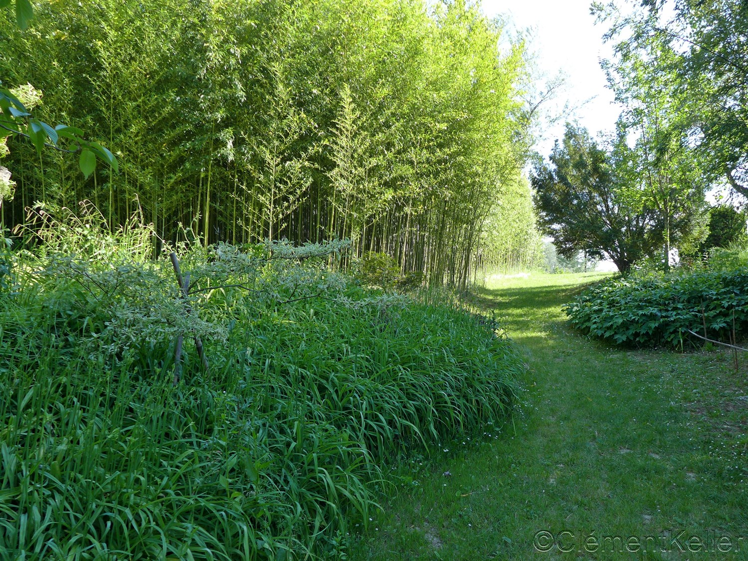 BEAUMONT-MONTEUX près de VALENCE "Jardin Zen d'Erik Borja" - Les