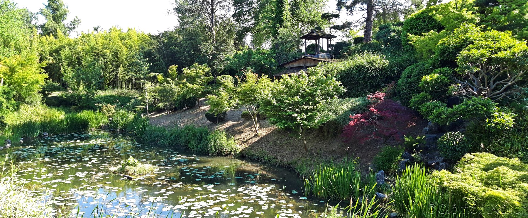 BEAUMONT-MONTEUX près de VALENCE "Jardin Zen d'Erik Borja" - Les
