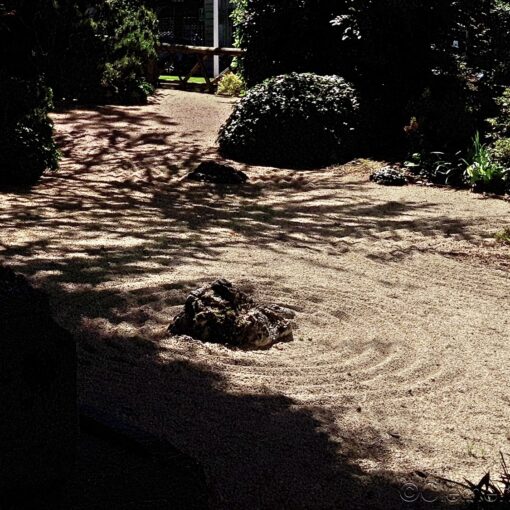 Ombres chinoises et ombres portées au sol au jardin japonais d'Aix-les-Bains
