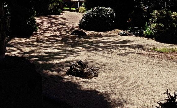 Ombres chinoises et ombres portées au sol au jardin japonais d'Aix-les-Bains