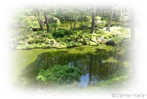 Ambiance de lac au milieu de la forêt de mousse au temple Koke-dera de Kyoto