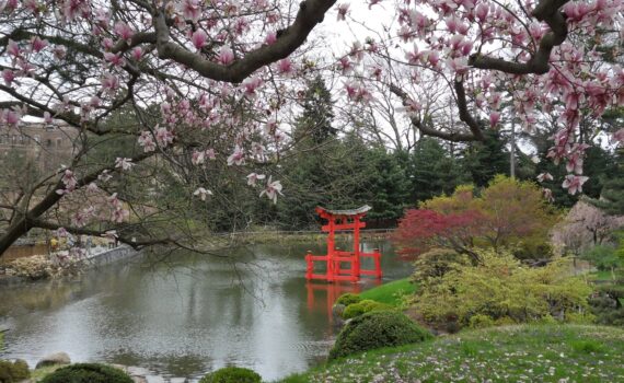 Vue du torii dans l'étang du jardin japonais Hill and Pond au Botanical Garden de Brooklyn