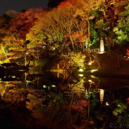 Le jardin Higo-Hosokawa de Tokyo de nuit