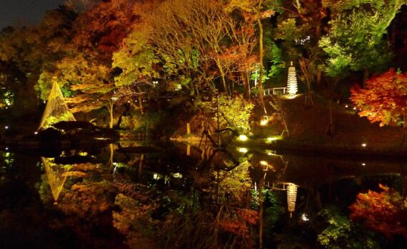 Le jardin Higo-Hosokawa de Tokyo de nuit