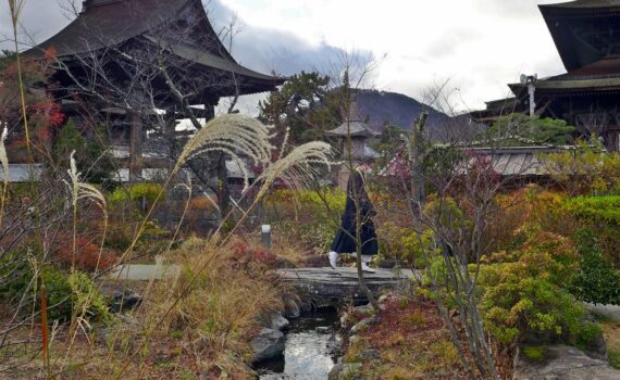 Jardin à côté du temple Zenko-ji à Nagano