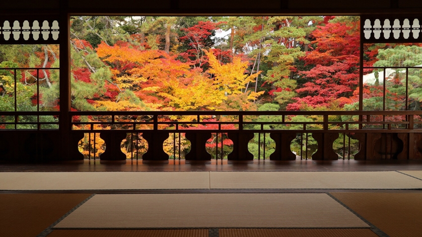 Villa Saito Niigata Couleurs d'automne