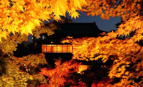 Villa Saito Niigata dans les érables rouges de nuit