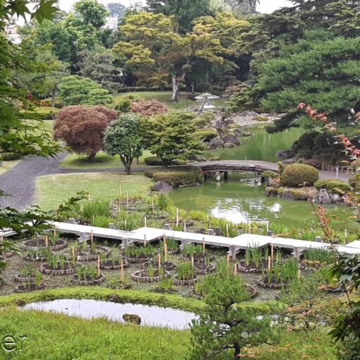 Jardin japonais privé "Fujita Memorial Garden" à Hirosaki