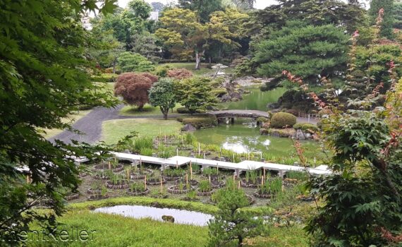 Jardin japonais privé "Fujita Memorial Garden" à Hirosaki