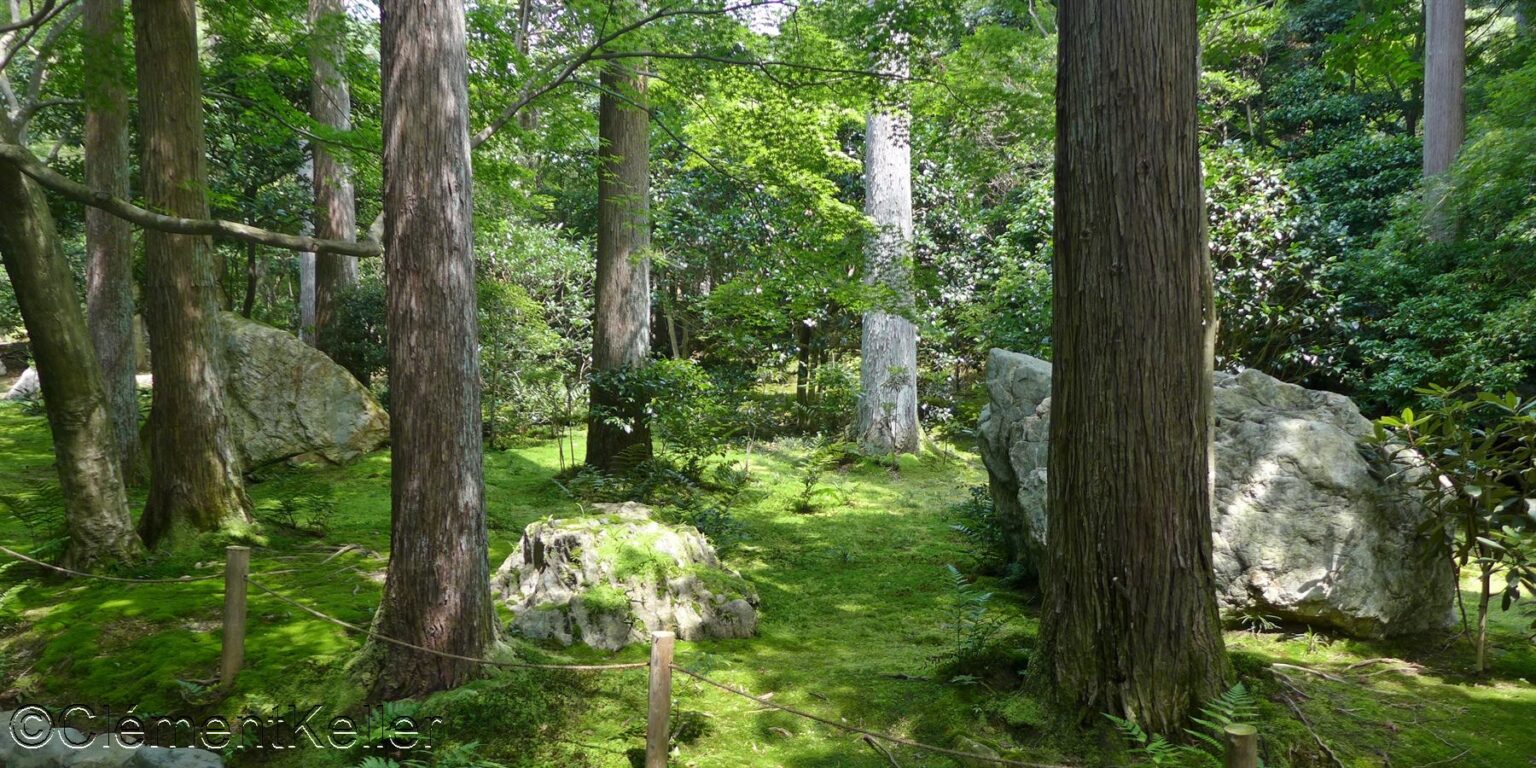 Ryōan-ji - Les jardins japonais
