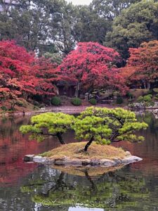 Shukkei-en à Hiroshima en automne. Photographies de Yuji Matsuura
