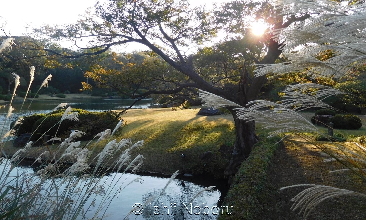 Automne au jardin Rikugien à Tokyo par Ishii Noboru