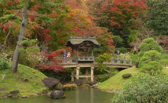 Photographie du jardin Sankei-en de Yokohama exposée au Consulat général du Japon à Strasbourg