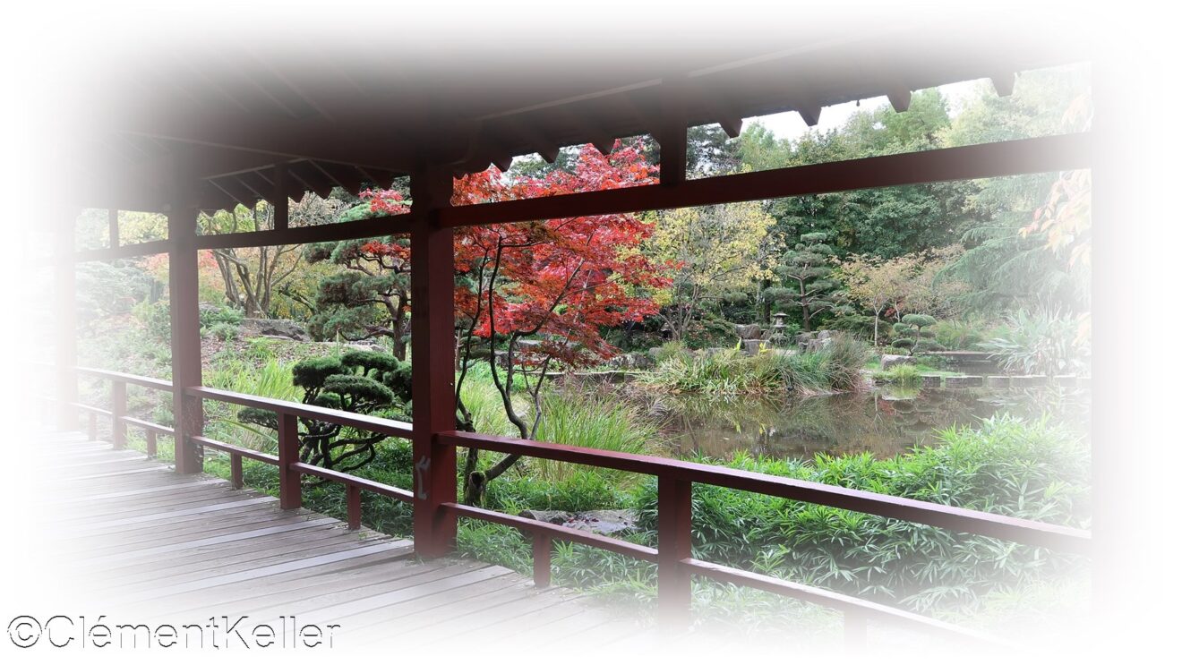 NANTES : Jardin japonais de l'Île de Versailles - Les jardins japonais