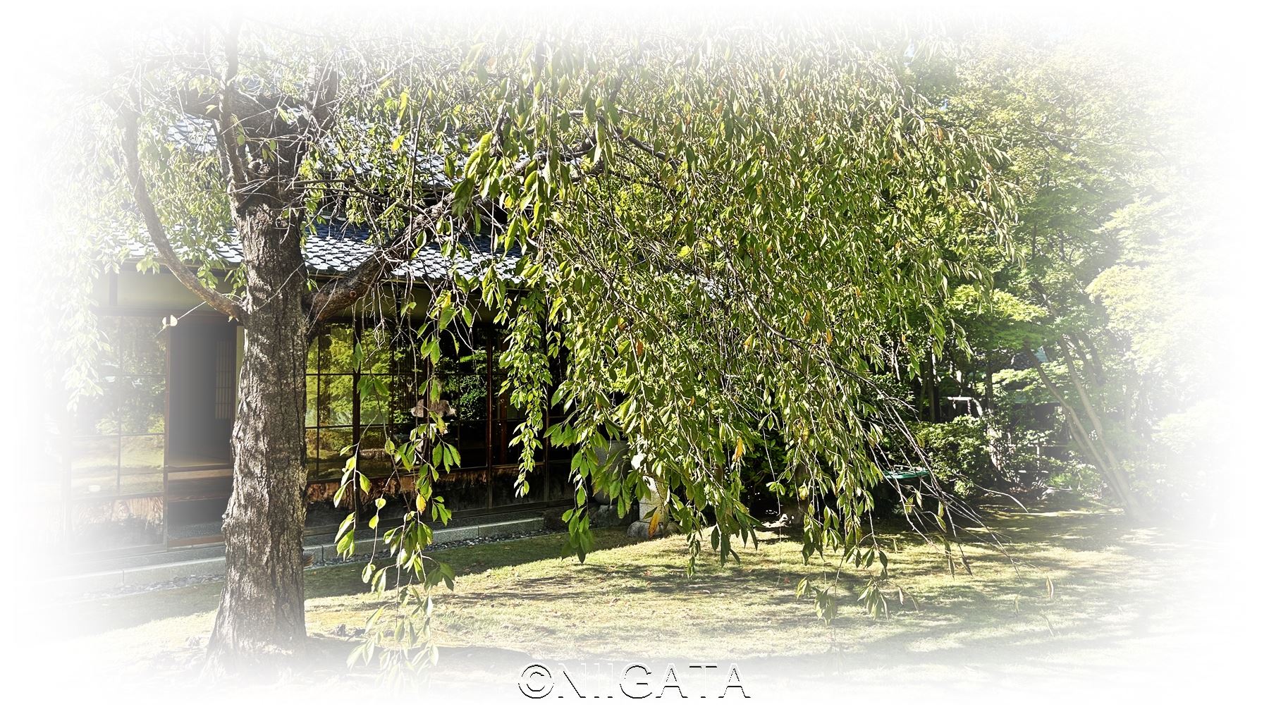 Jardin japonais à Enkikan près du parc Hakusan de Niigata