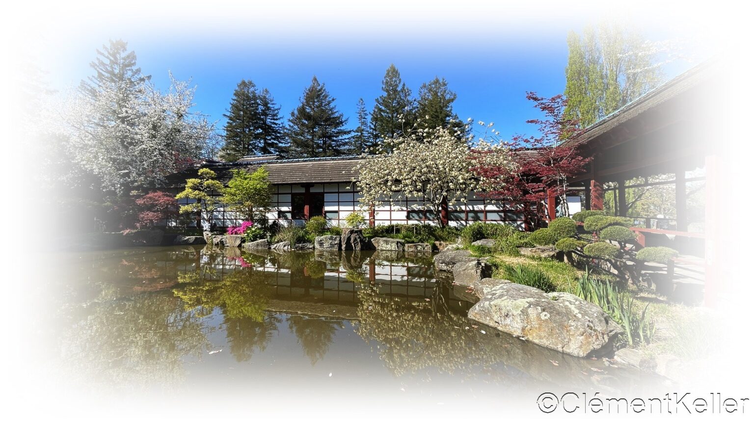 NANTES : Jardin japonais de l'Île de Versailles - Les jardins japonais