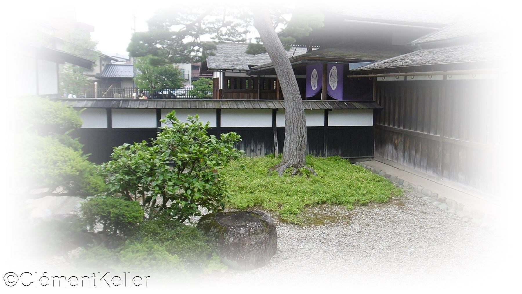 Jardin intérieur au Takayama-jinja